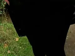 Despojado melhor do porno americano loira virgindade em A banho
